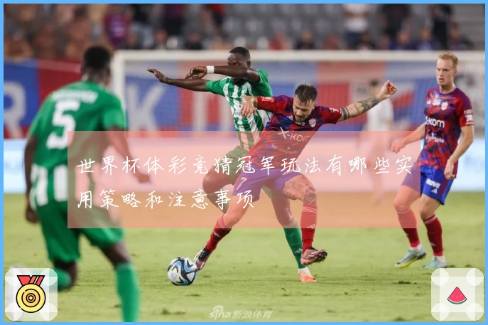 世界杯体彩竞猜冠军玩法有哪些实用策略和注意事项